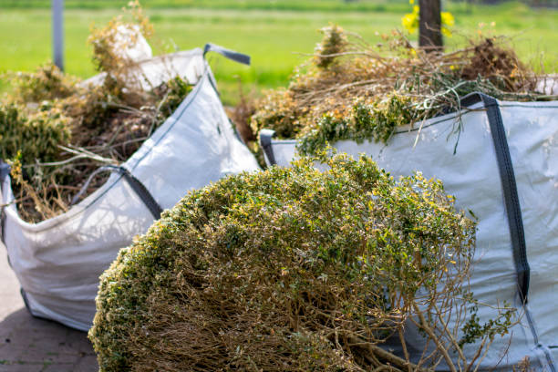 Best Hoarding Cleanup  in Maeser, UT